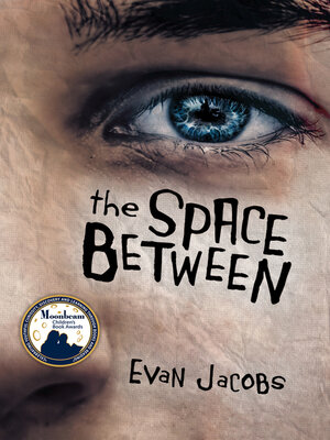 cover image of The Space Between